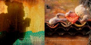 CHAT-FAIT-RIEN-p16-17_unchatlanuit